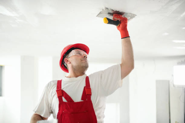 Best Basement Mold Removal  in USA